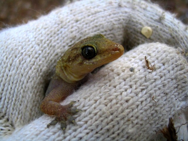 20101027_5612.jpg