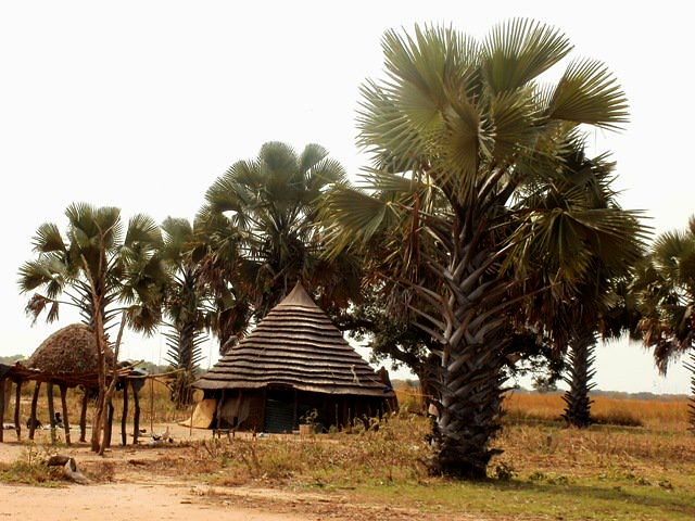nedela_v_mabior_09.jpg