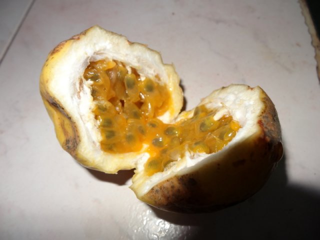 20140822_29 - Passion fruit...